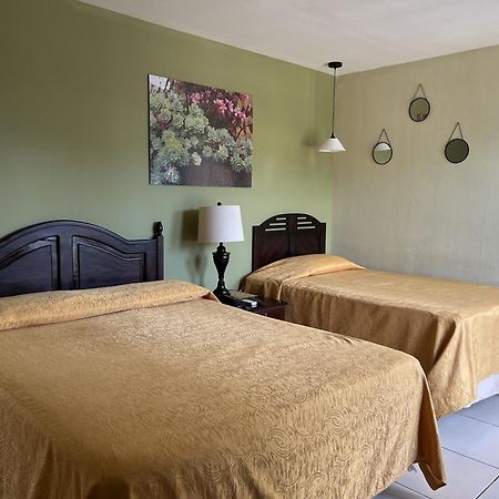 Hotel Andoria سان سلفادور المظهر الخارجي الصورة